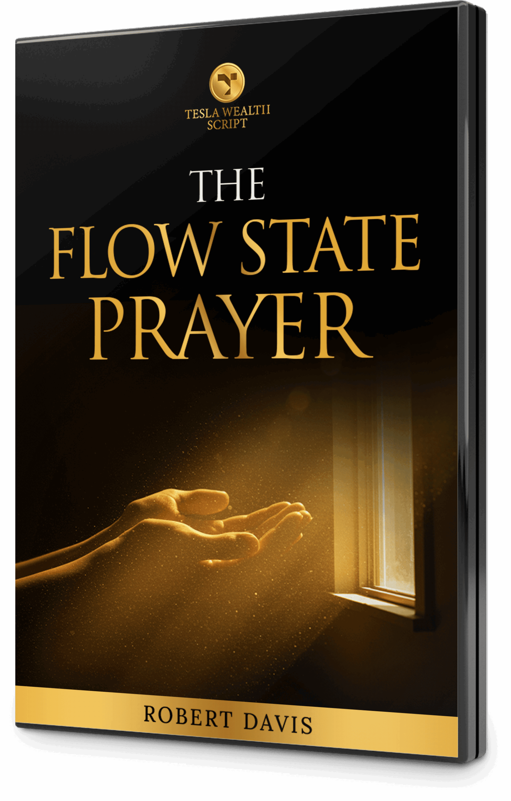 Tesla Wealth Script Bonus3