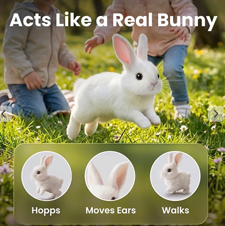 HOPPSY-Bunny-benefits