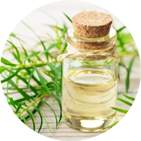 Tea Tree Oil
